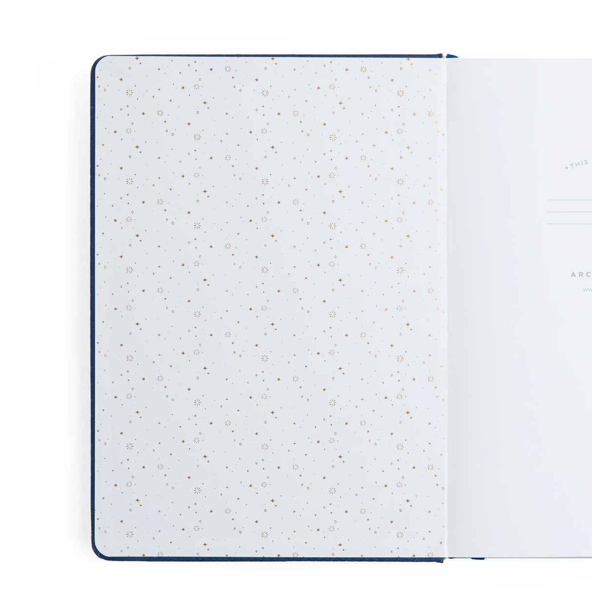 Archer and Olive A5 Firefly Night: Dot Grid Notebook