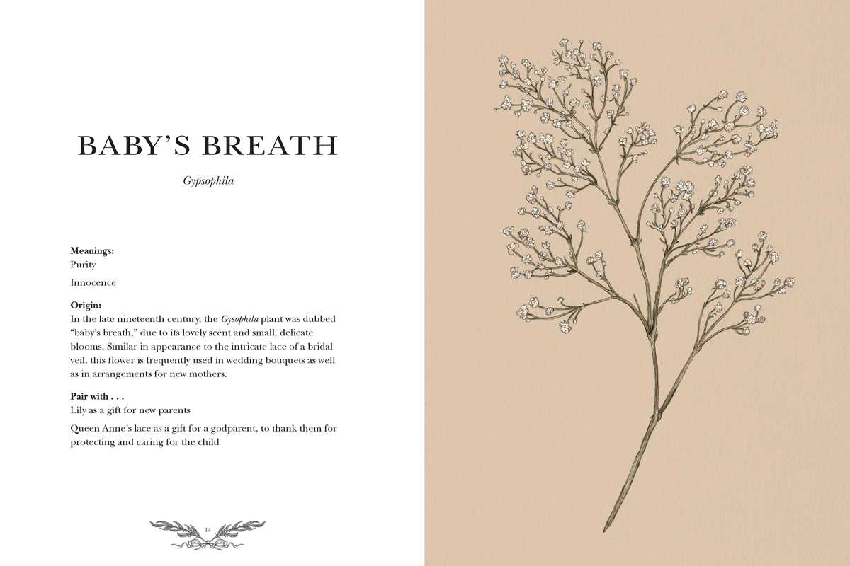 Floriography By Jessica Roux