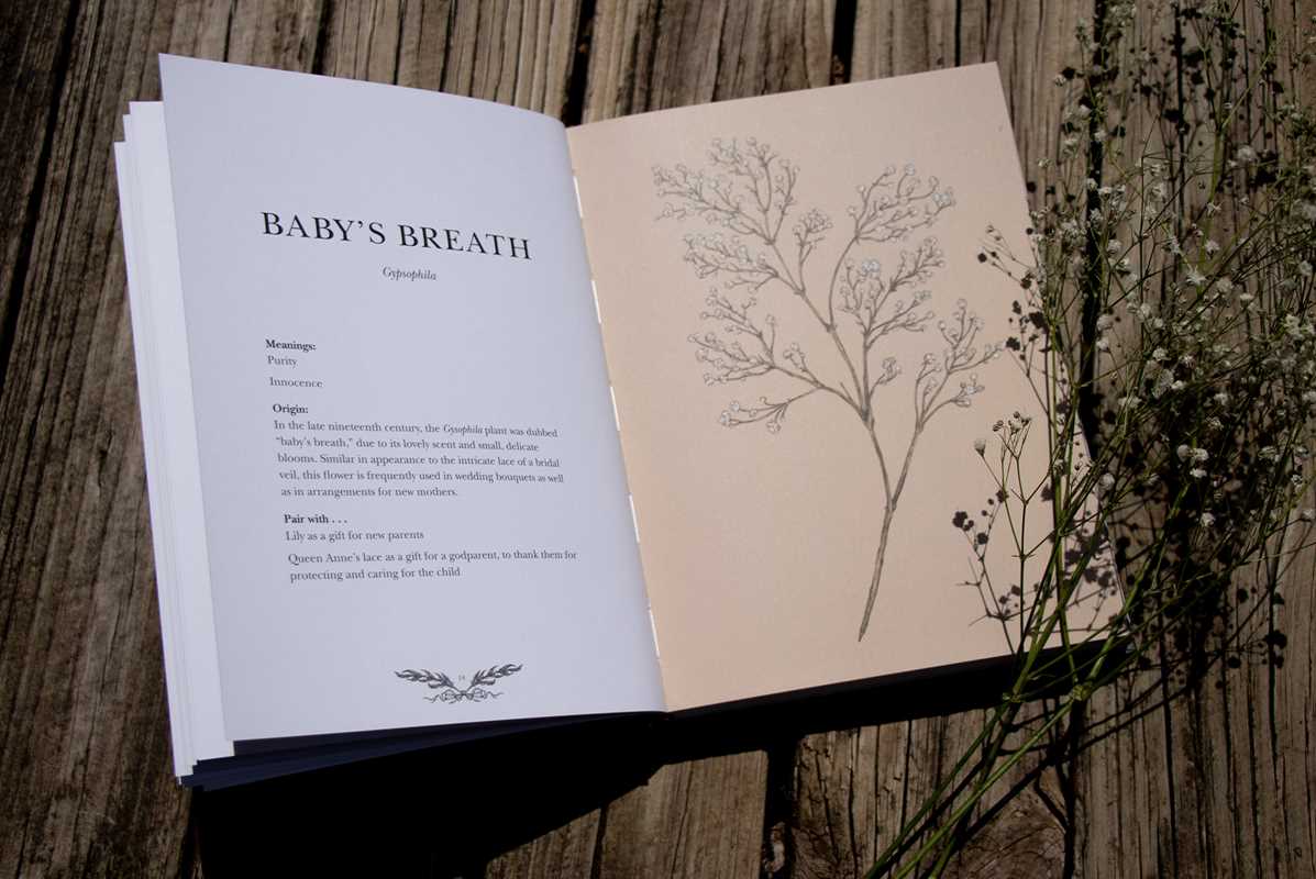 Floriography By Jessica Roux