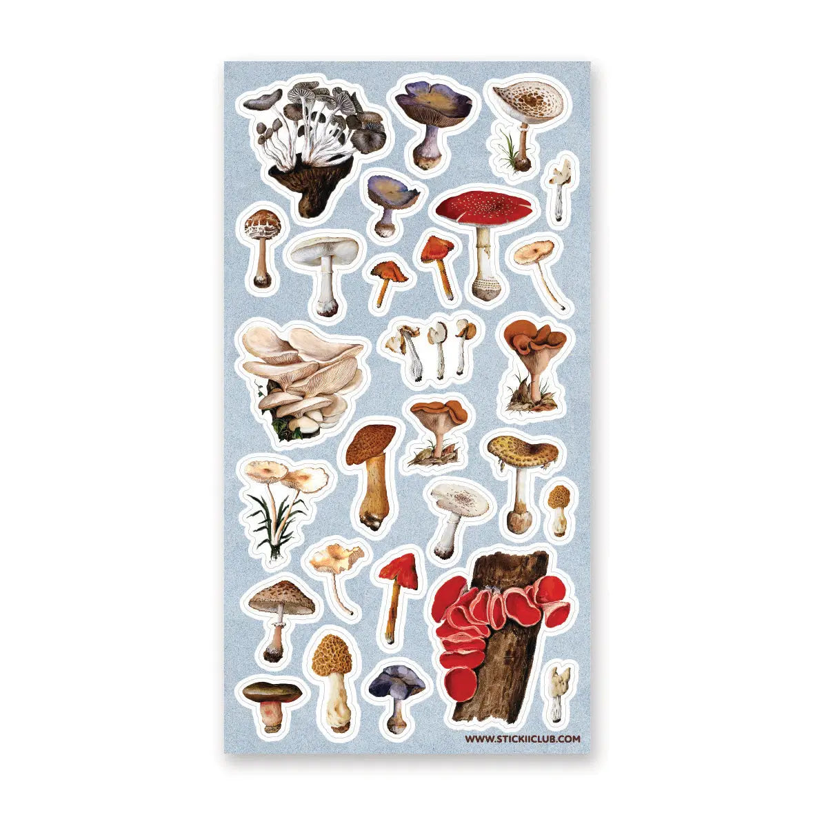 🍄🌿 Wander into a woodland where every fallen log, mossy hollow, and shaded forest floor hides a tiny treasure. From oyster clusters and scarlet caps to intricate morels and velvety violets, this vintage-inspired set celebrates mushrooms as a lovely gathering of curious specimens for anyone enchanted by the wild, mysterious world of the forest floor.

One sticker sheet is included.
Top Coating: None
Adhesive Layer: Paper
Backing Layer: Clear PET
Size: 6.69"x3.54"
Weight-0.03oz