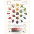 Found Image Press - Color Chart Postcard

Elevate your inventory with this classic 3.5" x 5.5" postcard featuring an image from our Art Misc. collection titled Color Chart. It captures a nostalgic, vintage-inspired aesthetic that customers love. Perfect for adding a charming, retro flair to your repertoire.

• Size: 3.5" × 5.5"

• Made in USA using biodegradable, recycled, and recyclable materials