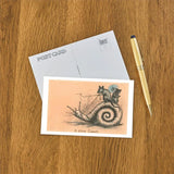 Elevate your inventory with this classic 3.5" x 5.5" postcard featuring an image from our Trade Cards collection titled Mice Riding Snail.

It captures a nostalgic, vintage-inspired aesthetic that customers love. Perfect for adding a charming, retro flair to your repertoire.