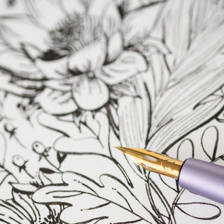 Fountain Pen Nib - Pro-Flex