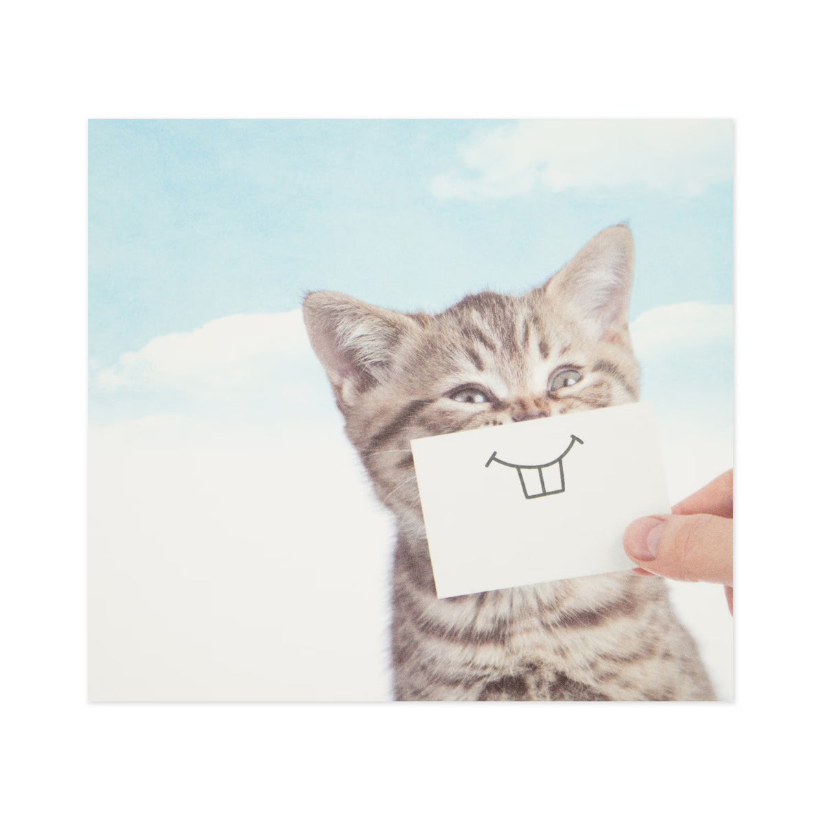 Block memo featuring a cute cat in a playful way. The design will make you smile, and it's sure to lift the hearts of those who receive it! Of course, it can be used as a daily note, as well as a small gift card or message card.