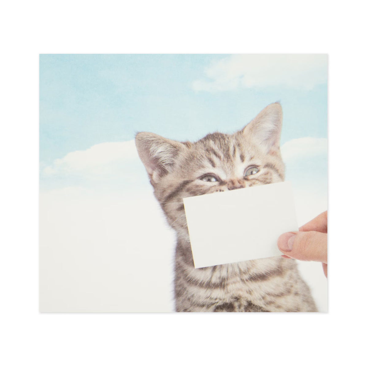Block memo featuring a cute cat in a playful way. The design will make you smile, and it's sure to lift the hearts of those who receive it! Of course, it can be used as a daily note, as well as a small gift card or message card.
