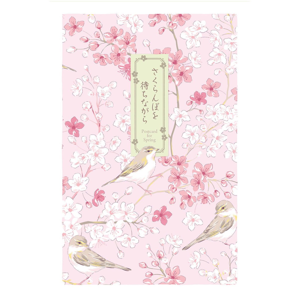 FRONTIA - Sakura & Songbirds Postcards