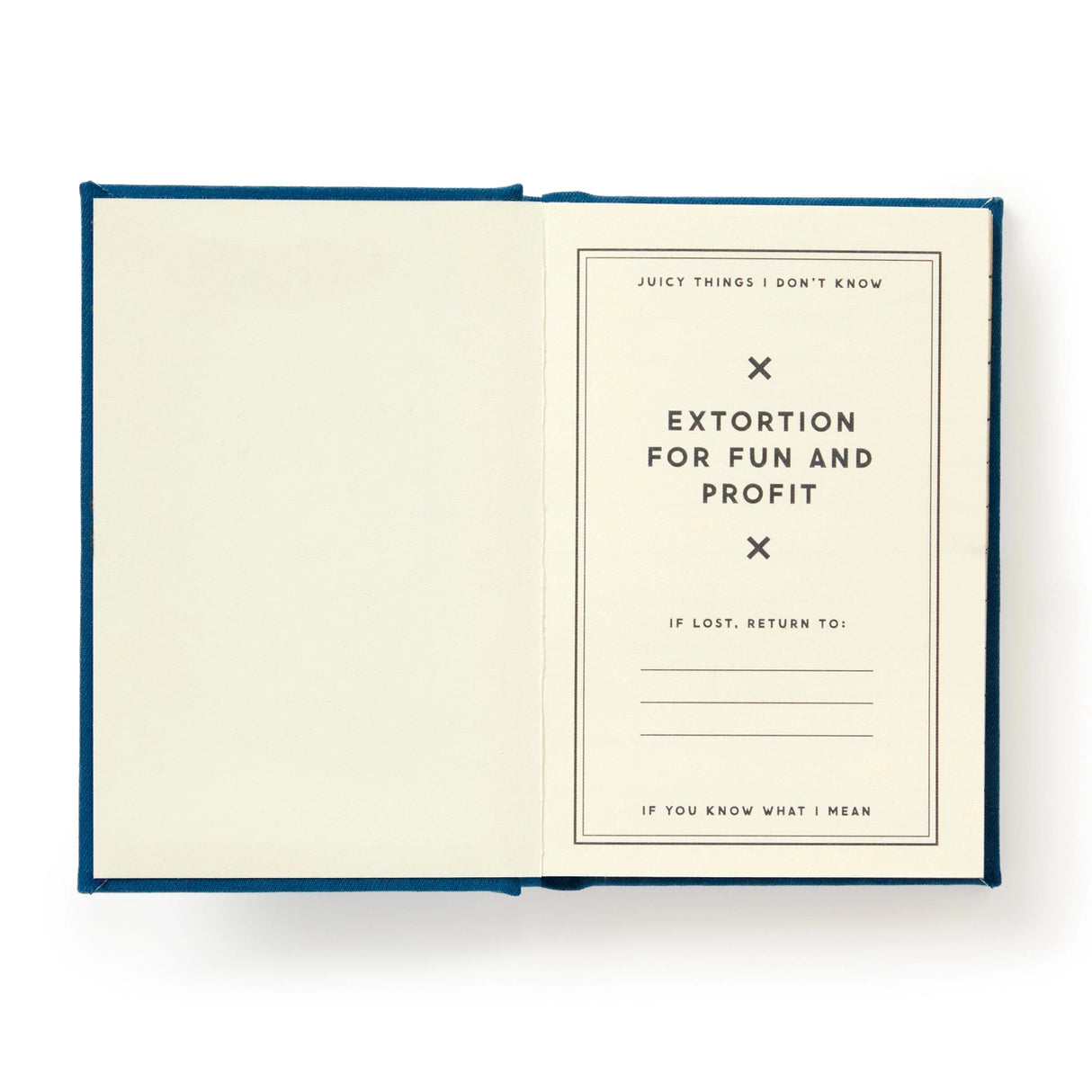 Sure, you could use this tiny diary to jot down grocery lists and inspirational quotes… but let’s be honest, it’s way more fun to document suspicious behavior, embarrassing quotes, and all the dirt you might need later. You know, just in case. Measuring only 2.75” x 3.75”, this journal may be small—but it holds big secrets. With 112 gilded-edge pages, it’s the perfect place to keep receipts (figurative or literal), plot mild revenge, or simply record your chaotic brilliance.