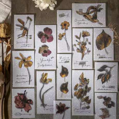 These dried floral ephemera packs are great for your journal, card making, and framed decoration! Each piece features a dried floral element with a quote and gentle white flecks for a soft and vintage appearance. Each pack comes with 30 pieces offering a wide variety of options to choose from!

One set is 30 pieces