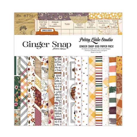 Ginger Snap paper pack with various patterns on a white background
