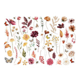 Ginger Snap (Dried Flowers) Paper Die-Cut Ephemera