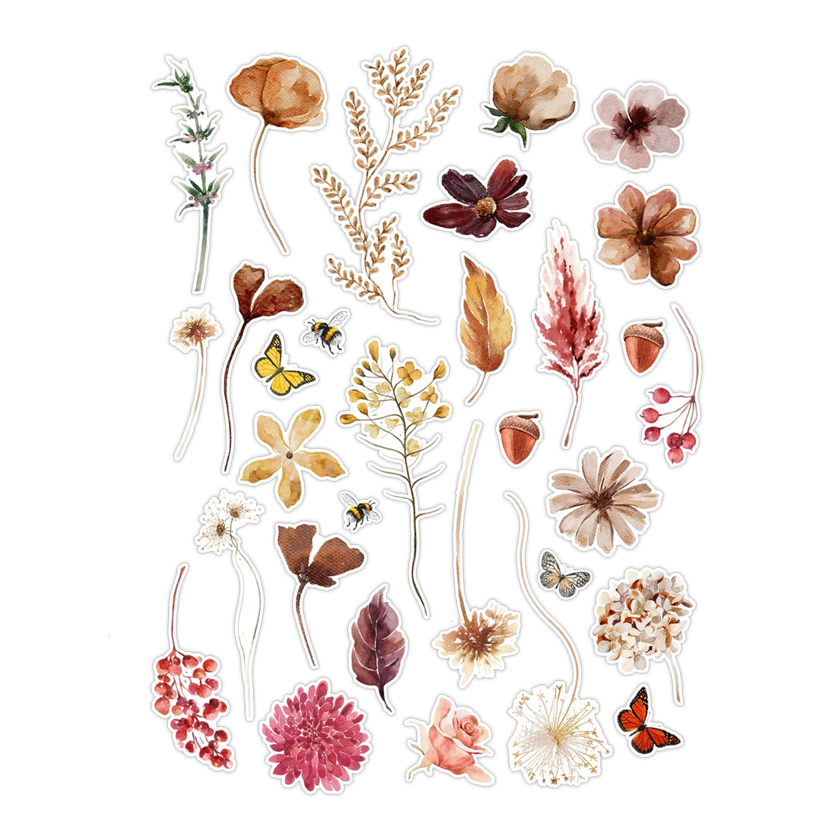 Ginger Snap (Dried Flowers) Paper Die-Cut Ephemera