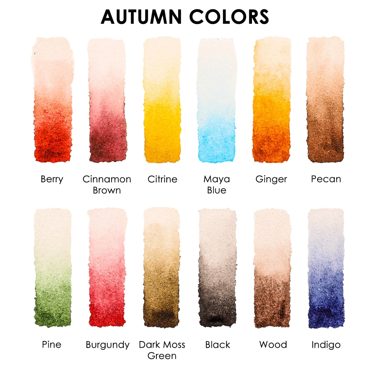 Introducing the "Autumn-Themed Watercolor Coloring Club Box," a charming set for all ages. It includes a 12-color watercolor pocket set inspired by fall and a 15-sheet coloring pad—perfect for capturing the season’s warmth.

Capture Autumn's Beauty - Celebrate autumn with 12 carefully selected shades inspired by the season. The included 15-sheet coloring pad gives you the ideal surface to explore rich tones and seasonal charm in every brushstroke.

Premium Paper & Coloring Guide - Scan the QR code for a fre