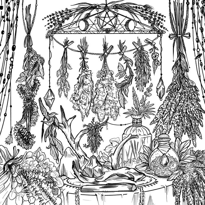 The magic of The Green Witch meets adult coloring with this collection of 35 witchcraft-inspired scenes showcasing the natural elements and mysticism of green witchcraft.

Nurture your creative energy and the green witch within with The Green Witch’s Coloring Book featuring 35 witchcraft-inspired scenes that nourish and nurture green witchcraft lovers. From the Green Witch series, this coloring book includes lush forest scenes to crystal spreads and herb bundles. 