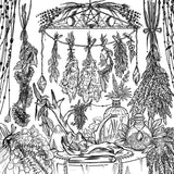 The magic of The Green Witch meets adult coloring with this collection of 35 witchcraft-inspired scenes showcasing the natural elements and mysticism of green witchcraft.

Nurture your creative energy and the green witch within with The Green Witch’s Coloring Book featuring 35 witchcraft-inspired scenes that nourish and nurture green witchcraft lovers. From the Green Witch series, this coloring book includes lush forest scenes to crystal spreads and herb bundles. 