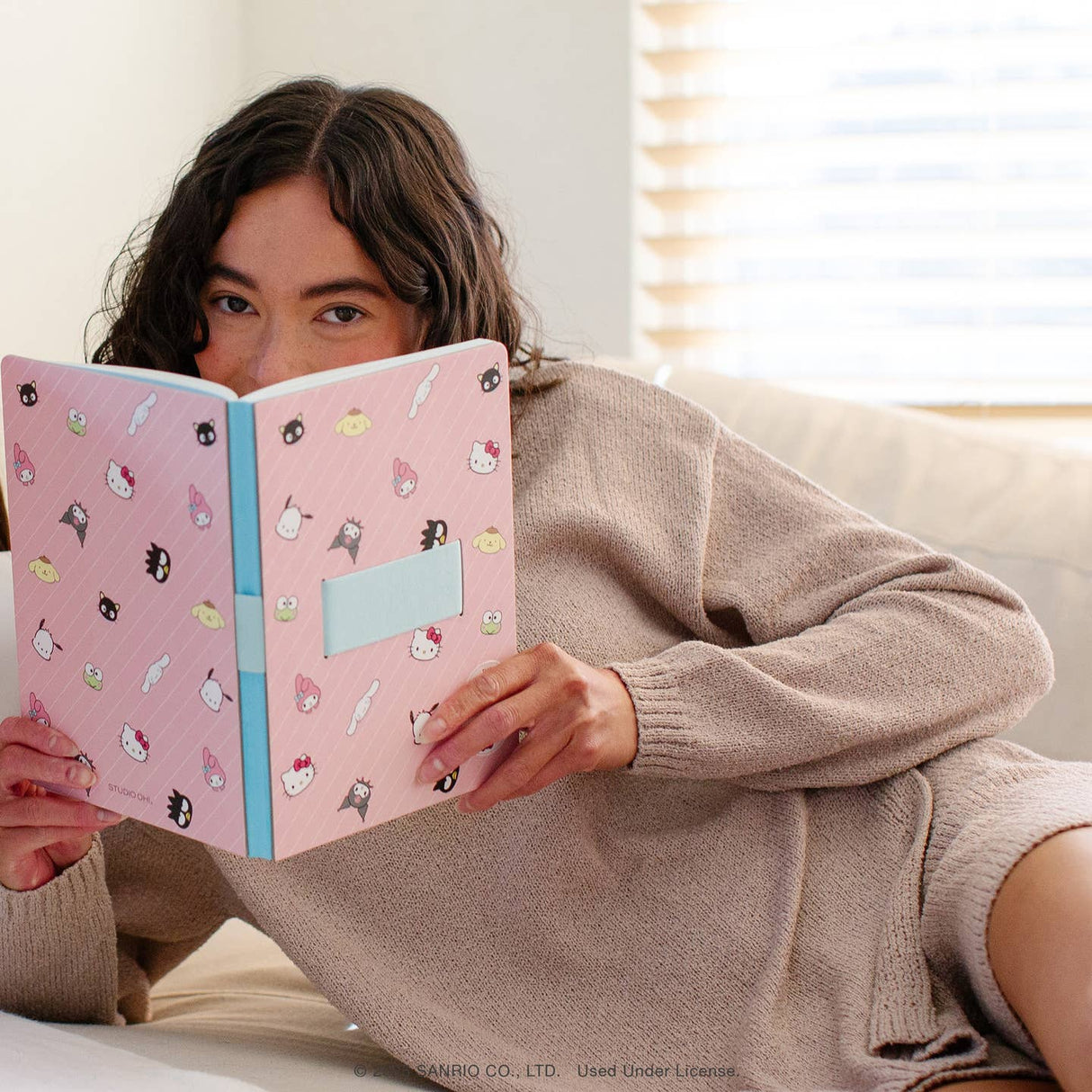 Hello Kitty & Friends Pink Pinstripe Casey Notebook