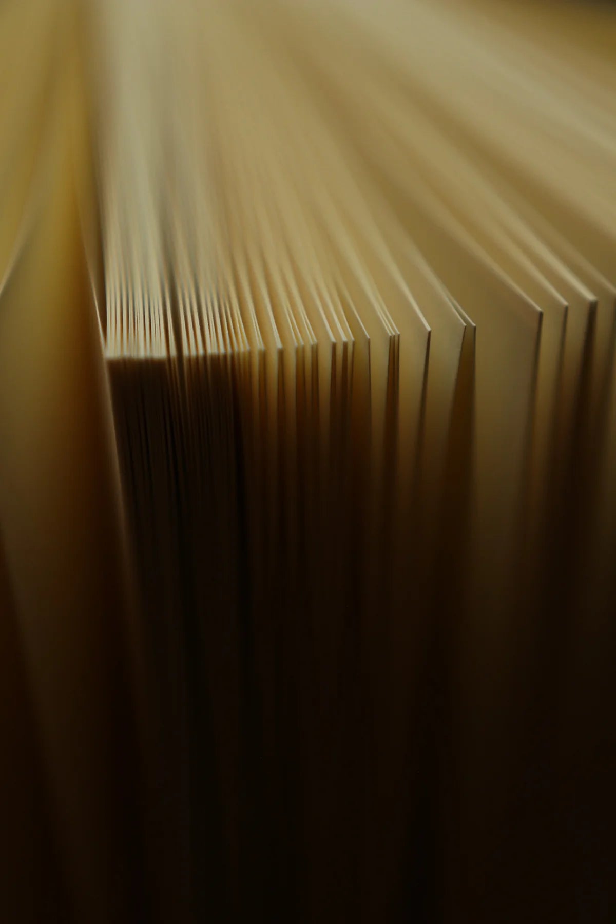 Grimm's Fairy Tales by Jacob & Wilhelm Grimm 1812 Book Journal