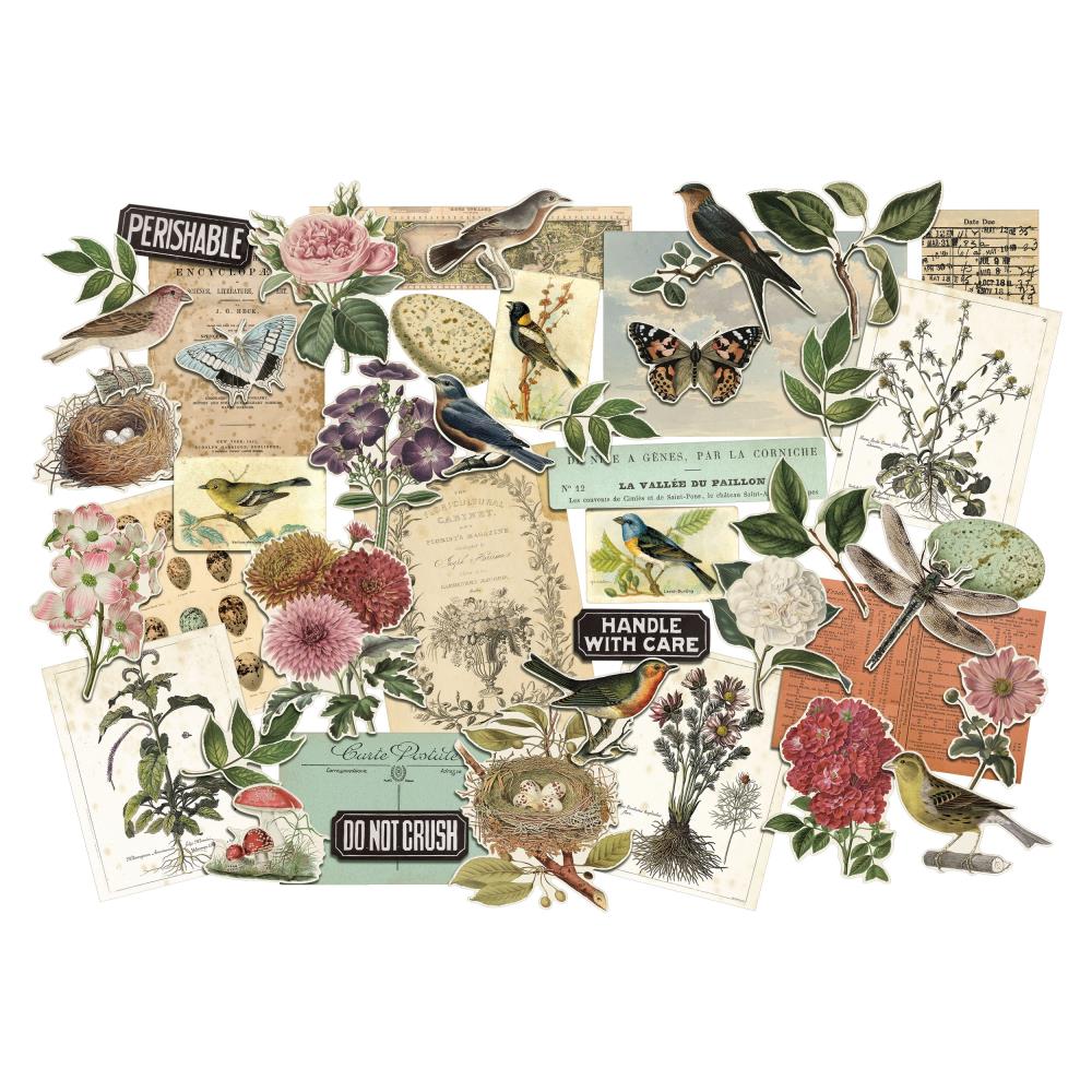 These unique sheets feature decorative vintage art and designs of nature and documents that will add a touch of nostalgia to any project.
