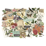 These unique sheets feature decorative vintage art and designs of nature and documents that will add a touch of nostalgia to any project.