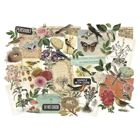 These unique sheets feature decorative vintage art and designs of nature and documents that will add a touch of nostalgia to any project.