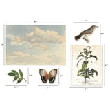 Tim Holtz Idea-Ology Layers Die-Cuts 45/Pkg - Organic