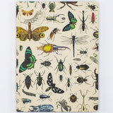 Insect Hardcover - Lined/Grid Page Notebook