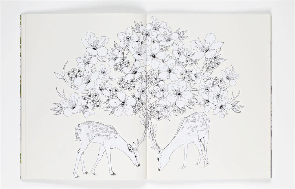 Journey through dream-like forest scenes, and encounter real and fabulous creatures in this gorgeous new coloring book by Daisy Fletcher, creator of Birdtopia. Beginning in a woodland world of otters, badgers, foxes, and deer, the pages gradually transport you deeper into a flower forest, a magical environment populated with rare and mythical animals such as caracals, squirrel monkeys, muntjacs, and ibex. Color your way through exotic and wonderful plants – Candy Cane Sorrel, Passion Flowers, and giant Cact
