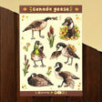 A bunch of silly &amp; sassy Canada geese on a sticker sheet! Great for journals, scrapbooks, and decorating laptops.

Glossy vinyl sticker sheet, 4.6" x 6.7"
11 stickers - 6 larger geese stickers &; 5 smaller stickers (cattails, flowers, feather)
Packaged in a clear plastic sleeve