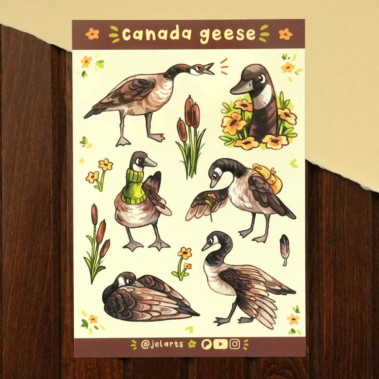 A bunch of silly &amp; sassy Canada geese on a sticker sheet! Great for journals, scrapbooks, and decorating laptops.

Glossy vinyl sticker sheet, 4.6" x 6.7"
11 stickers - 6 larger geese stickers &; 5 smaller stickers (cattails, flowers, feather)
Packaged in a clear plastic sleeve