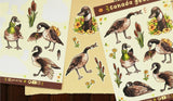A bunch of silly and sassy Canada geese on a sticker sheet! Great for journals, scrapbooks, and decorating laptops.

Glossy vinyl sticker sheet, 4.6" x 6.7"
11 stickers - 6 larger geese stickers &; 5 smaller stickers (cattails, flowers, feather)
Packaged in a clear plastic sleeve