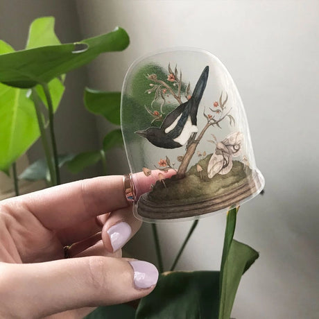 Vinyl semi-transparent sticker of One for Sorrow, an illustration of a magpie and moth under a cloche jar, by Jessica Roux.

The glass of the jar is transparent, but the contents and base of the jar are opaque. Sticker measures 2.6" x 3.1" and is glossy.