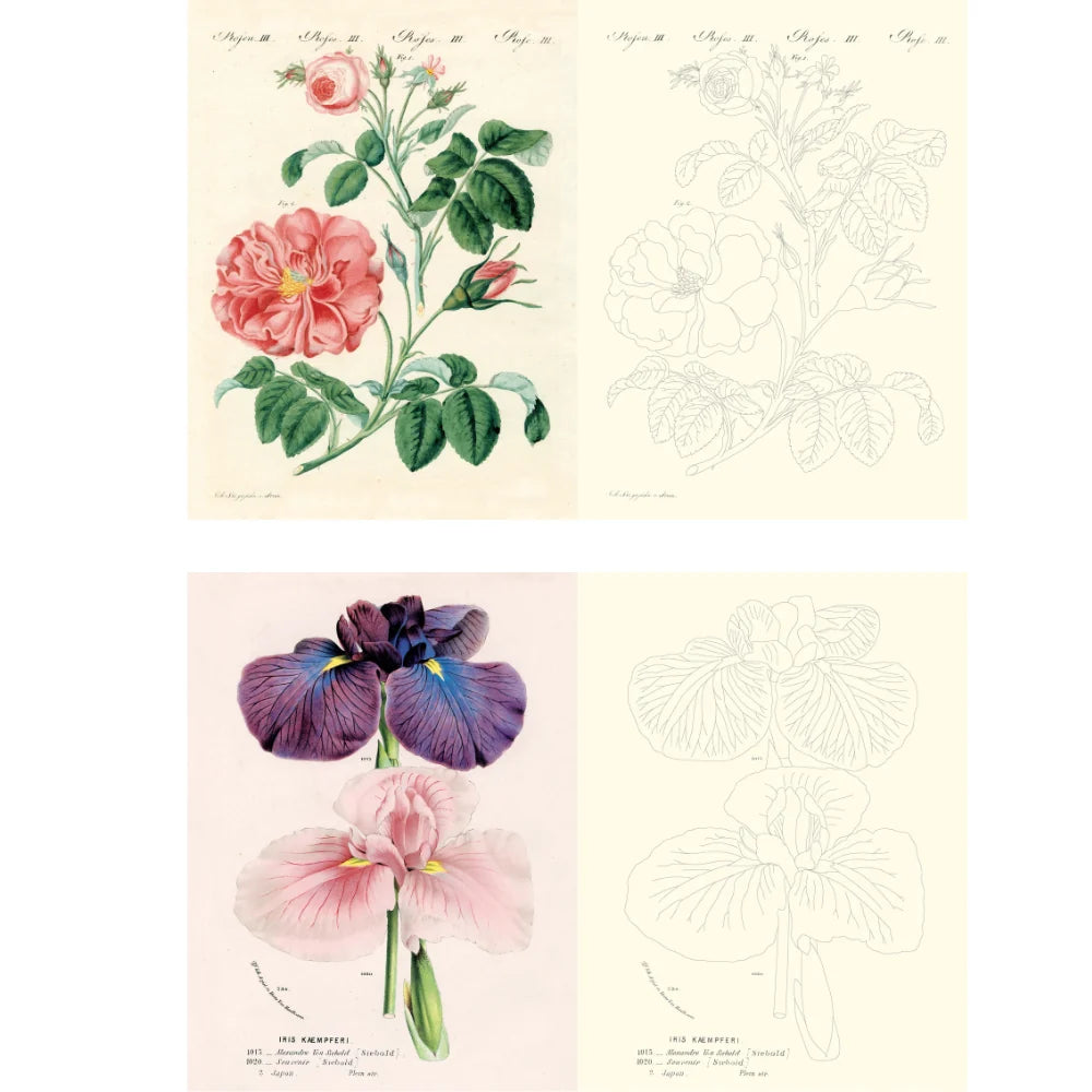 Color the world of John Derian! John Derian returns with yet another gorgeous, giftable, and interactive tome. John Derian Colouring Book: Flowers offers a richly curated collection of 20 coloring pages that both adults and children will adore. This book is bursting with Derian’s most-loved blossoms, which are depicted in both their original, intensely colored forms and their colorable outlines.