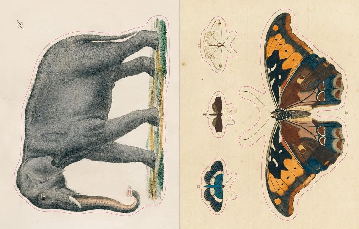 John Derian Sticker Book