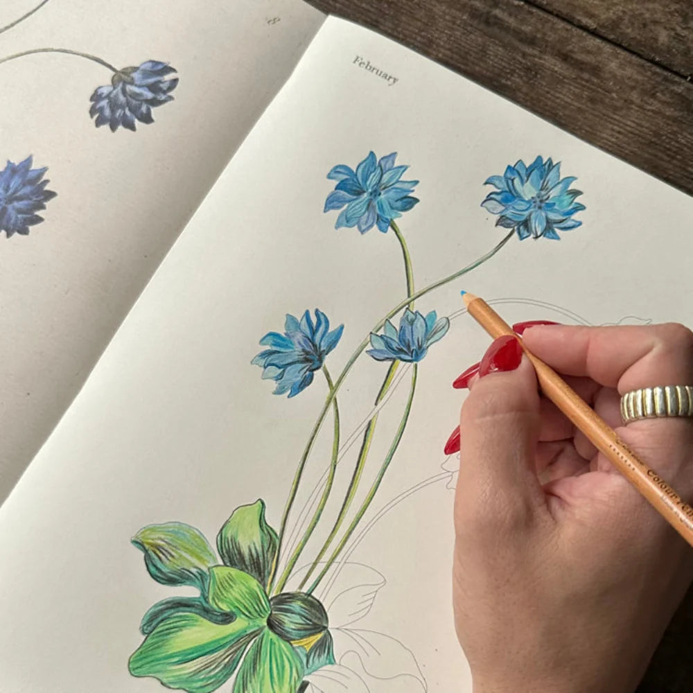 Color the world of John Derian! John Derian returns with yet another gorgeous, giftable, and interactive tome. John Derian Colouring Book: Flowers offers a richly curated collection of 20 coloring pages that both adults and children will adore. This book is bursting with Derian’s most-loved blossoms, which are depicted in both their original, intensely colored forms and their colorable outlines.