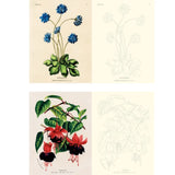 Color the world of John Derian! John Derian returns with yet another gorgeous, giftable, and interactive tome. John Derian Colouring Book: Flowers offers a richly curated collection of 20 coloring pages that both adults and children will adore. This book is bursting with Derian’s most-loved blossoms, which are depicted in both their original, intensely colored forms and their colorable outlines.