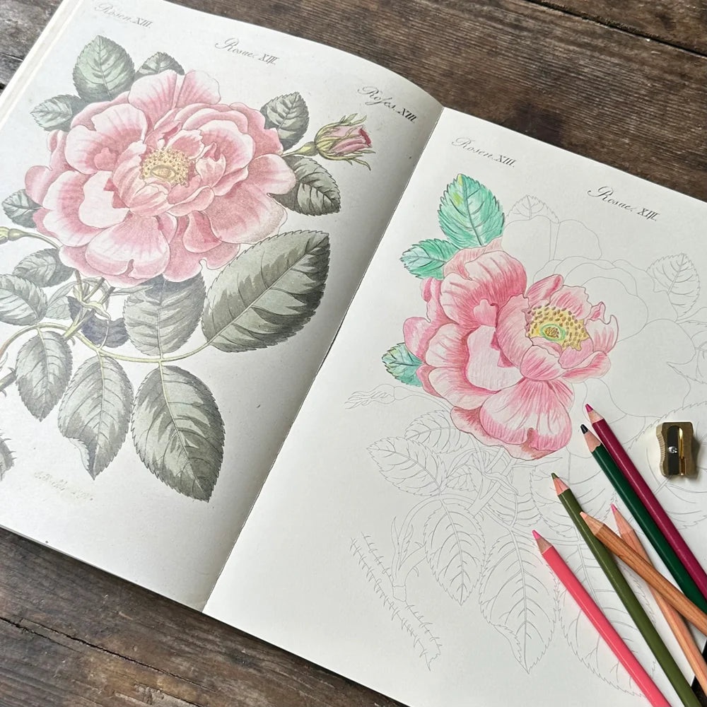 Color the world of John Derian! John Derian returns with yet another gorgeous, giftable, and interactive tome. John Derian Colouring Book: Flowers offers a richly curated collection of 20 coloring pages that both adults and children will adore. This book is bursting with Derian’s most-loved blossoms, which are depicted in both their original, intensely colored forms and their colorable outlines.