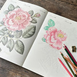Color the world of John Derian! John Derian returns with yet another gorgeous, giftable, and interactive tome. John Derian Colouring Book: Flowers offers a richly curated collection of 20 coloring pages that both adults and children will adore. This book is bursting with Derian’s most-loved blossoms, which are depicted in both their original, intensely colored forms and their colorable outlines.