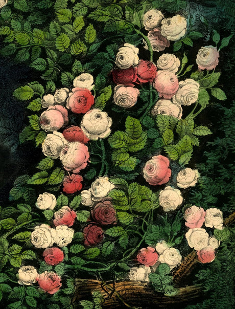 John Derian Paper Goods: Wrapping Paper & Gift Tags