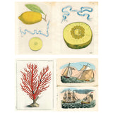 John Derian Sticker Book 2