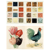 John Derian Sticker Book 2