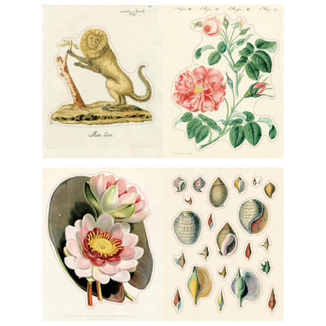 John Derian Sticker Book 2