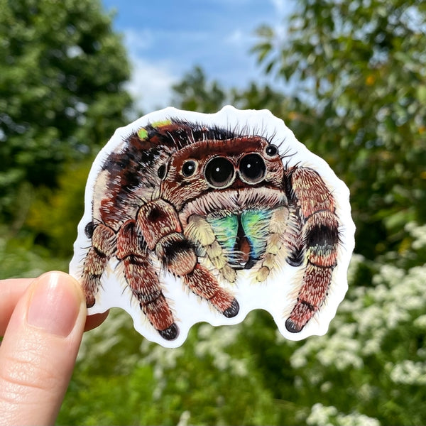 Jumping Spider Vinyl Sticker