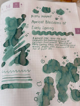 Kitty Inkpot Apricot Blossoms of Early Spring Ink 杏花酿春色
