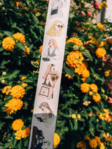 La Dolce Vita - Wind and Sunny Washi Tape

No matter what, life is still good.
When it rains, when the rain stops, when the wind blows, it will also stop, and it will also stop,
alive, feel, and in the end,
it will always be discovered like this.


Product information:
Matte Washi Tape with Release Paper
4 cm wide, 10 meters long, 90 cm long
Made in Taiwan