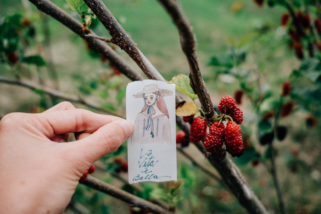 La Dolce Vita - Wind and Sunny Washi Tape