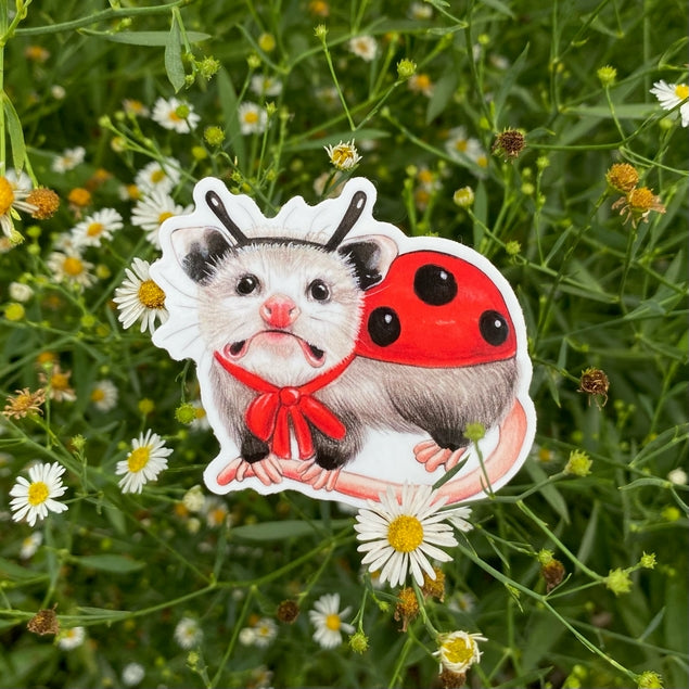 Ladybug Opossum Vinyl Sticker