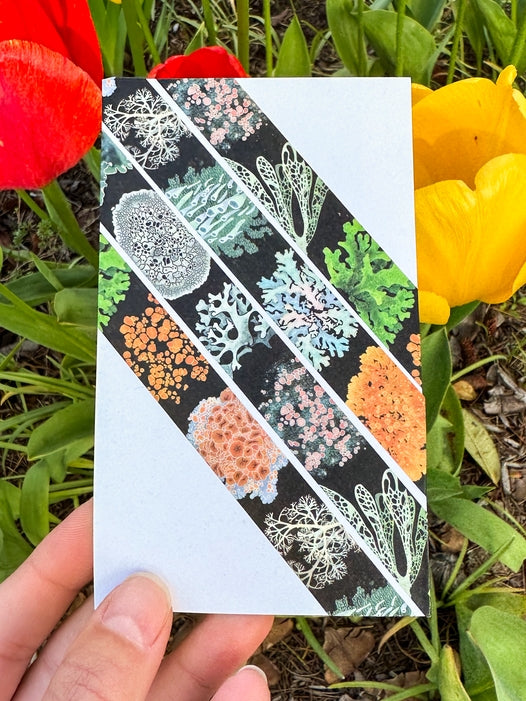 Lichen Washi Tape