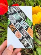 Lichen Washi Tape