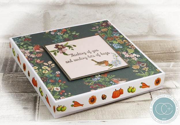 Little Robin Redbreast Washi Tape 2/Pkg