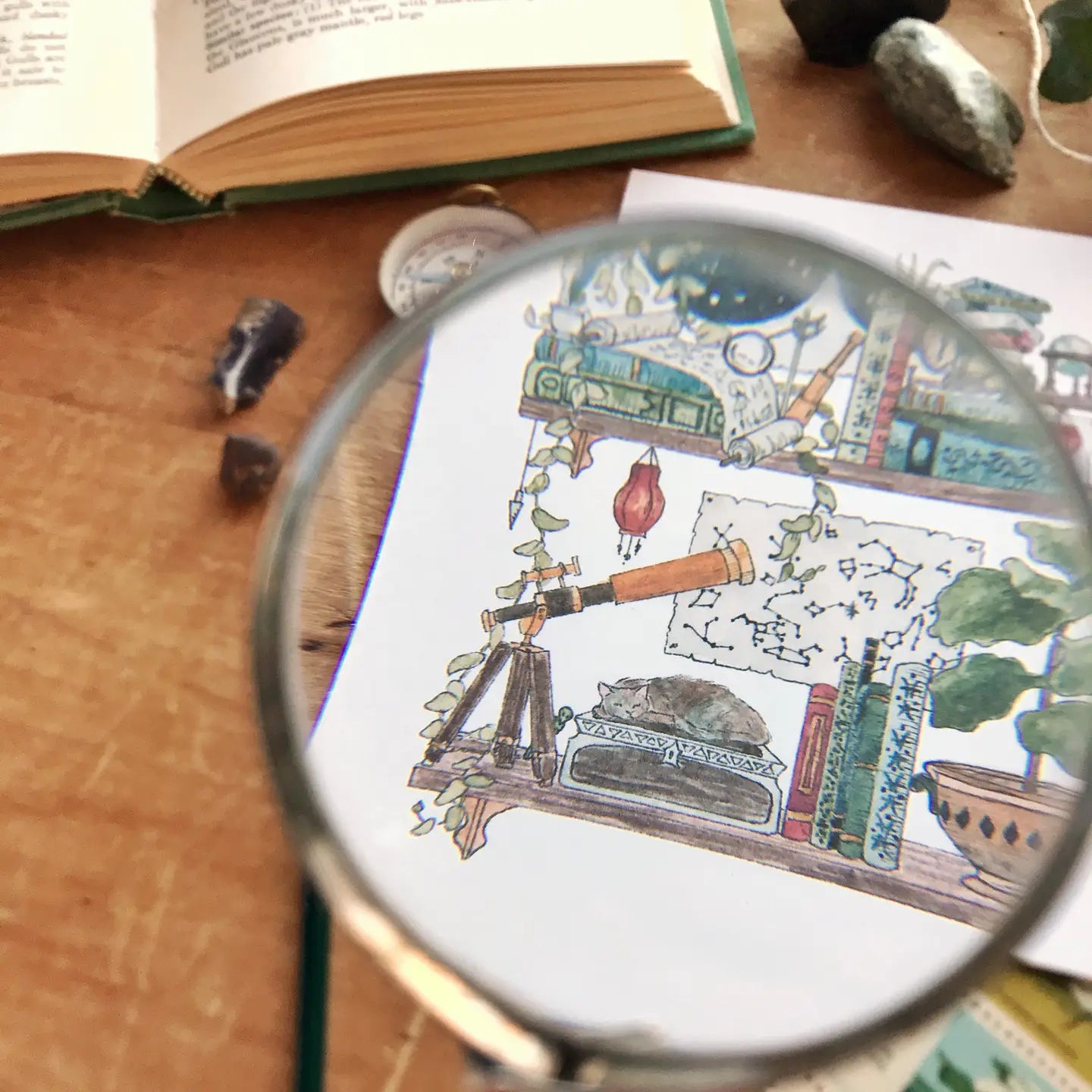 Postcard featuring my original watercolor and ink illustration of the oddities and books tucked away in the shelves of an inquisitive astronomer, including several star charts and a sleeping cat.

• Printed on high quality card stock
• Each postcard measures 4.25 x 5.5" (A2)