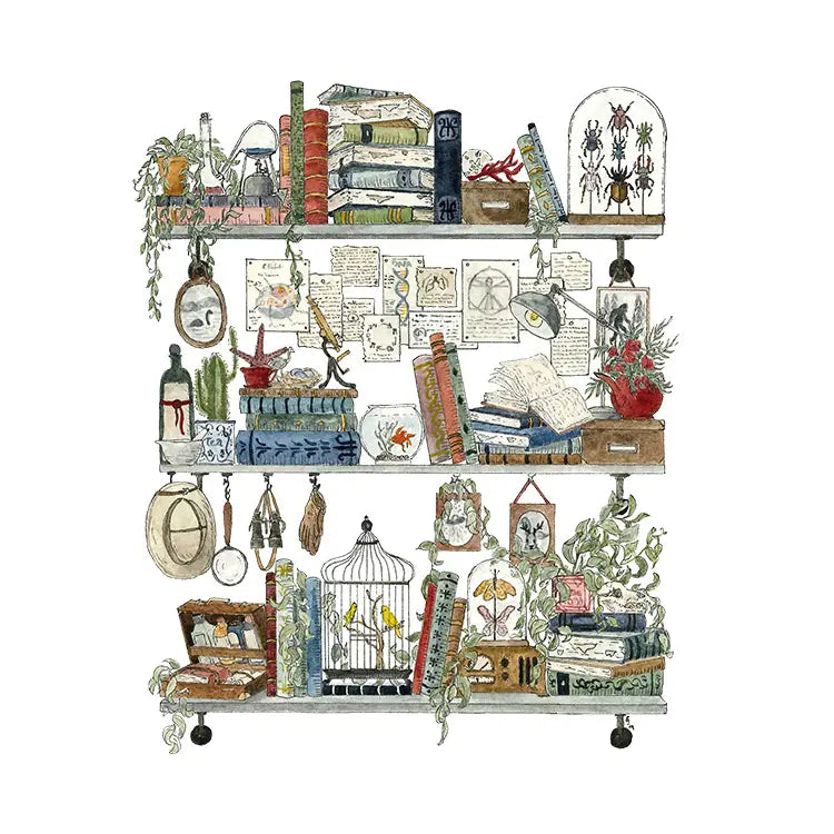 Postcard featuring my original watercolor and ink illustration of the vintage oddities and books tucked away in the shelves of a biologist. A goldfish, canaries, a vintage radio, and pictures of Sasquatch and Nessie are just a few of the details you'll find hidden in this painting!

• Printed on high quality card stock
• Each postcard measures 4.25 x 5.5" (A2)